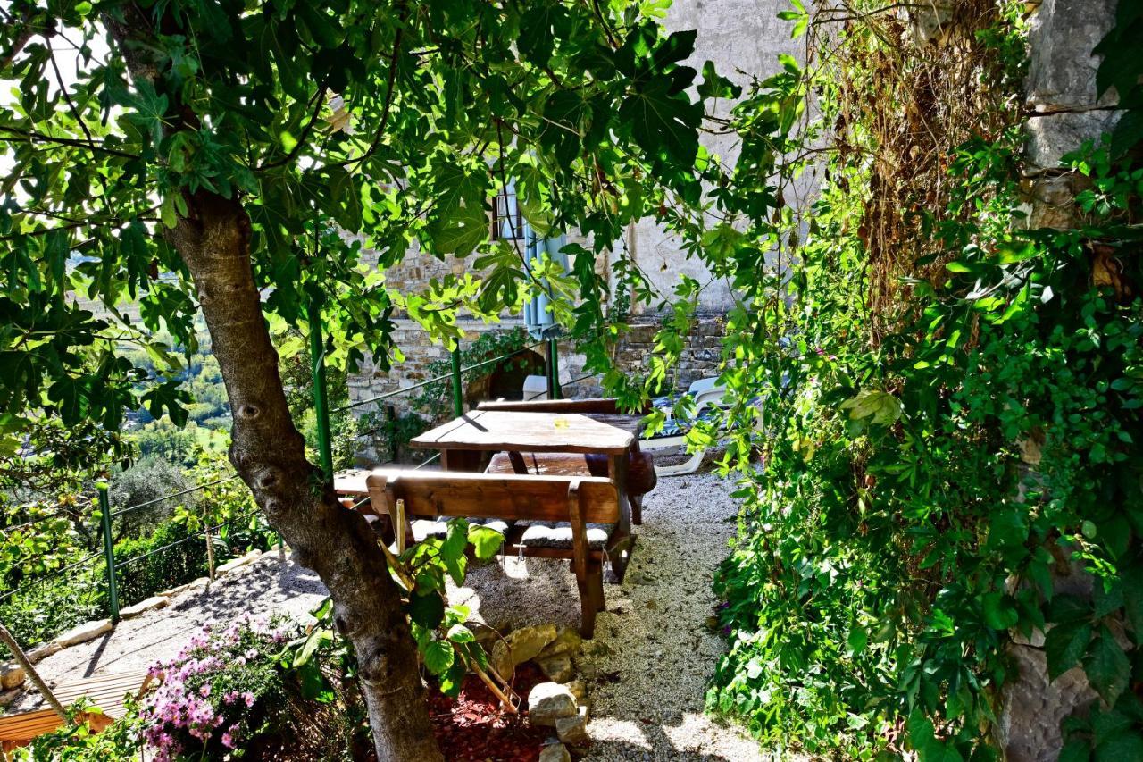 Villa Fragola Мотовун Екстериор снимка